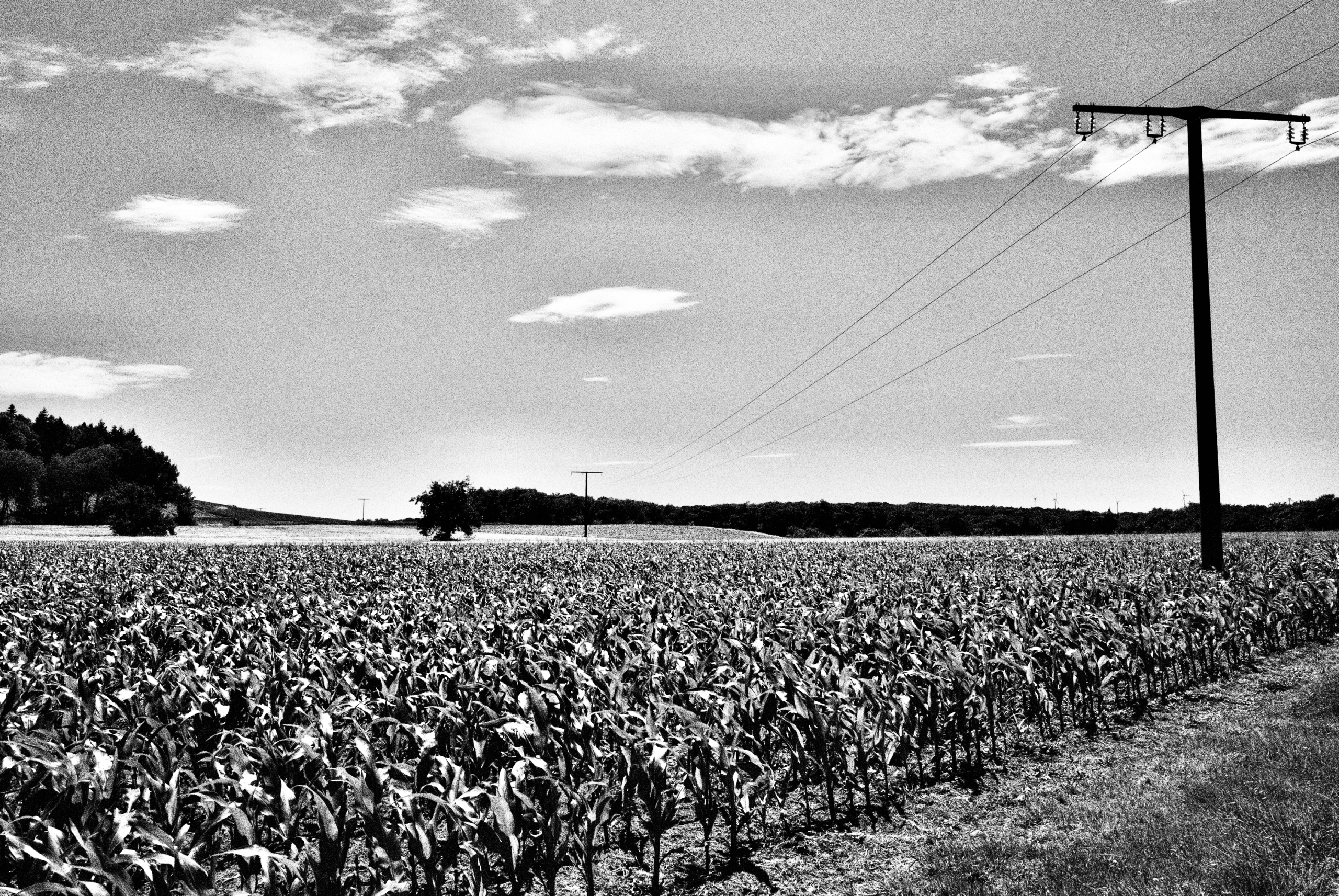 Katharina Kasper Pilgerweg Katharina Kasper Pilgerweg