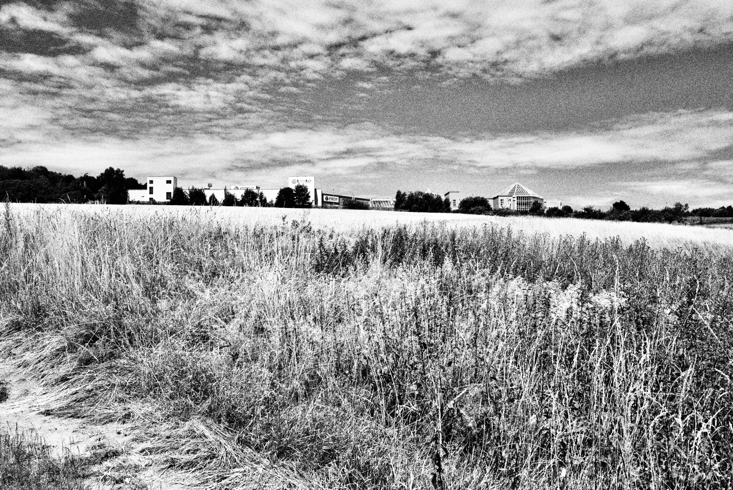 Katharina Kasper Pilgerweg Katharina Kasper Pilgerweg