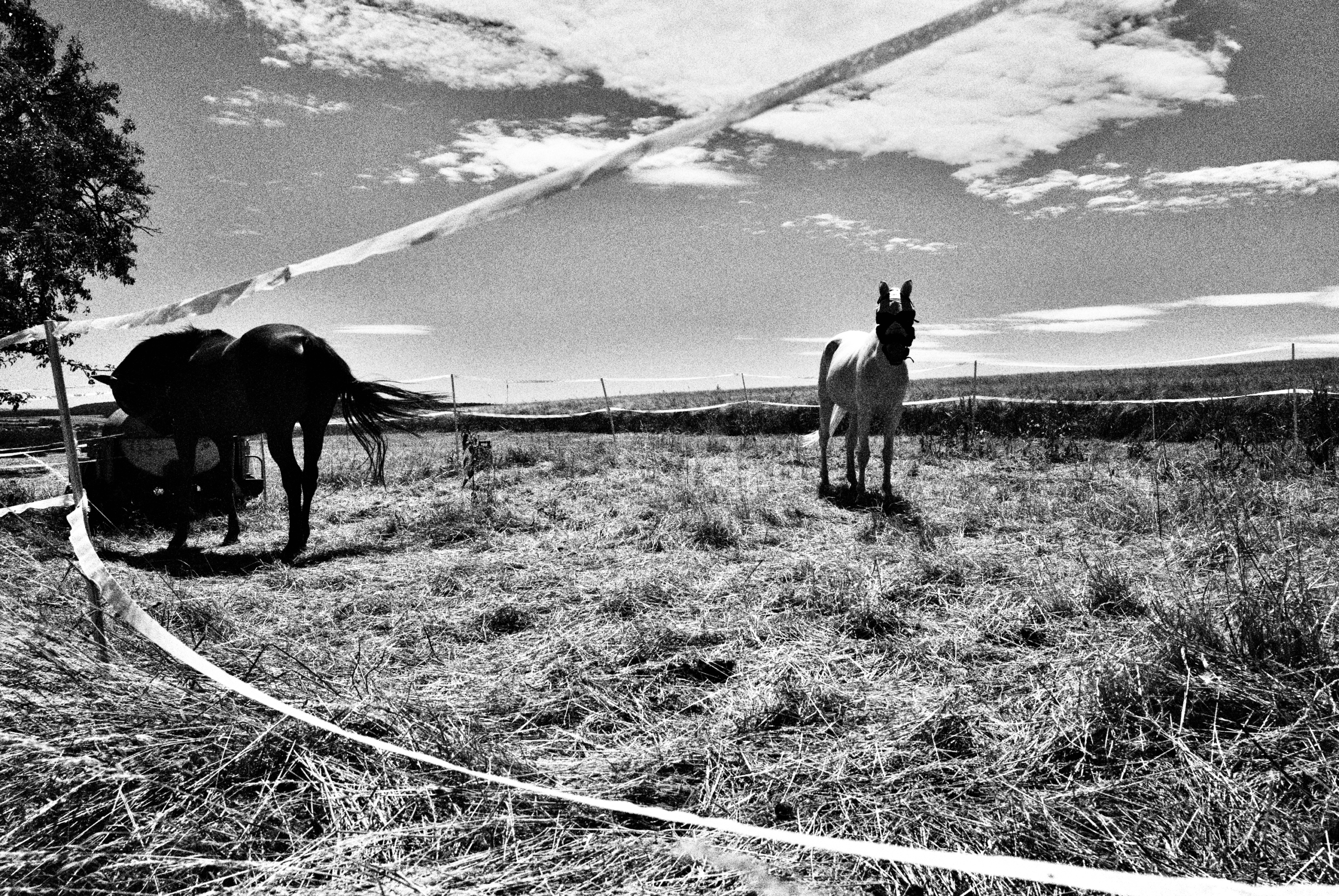 Katharina Kasper Pilgerweg Katharina Kasper Pilgerweg
