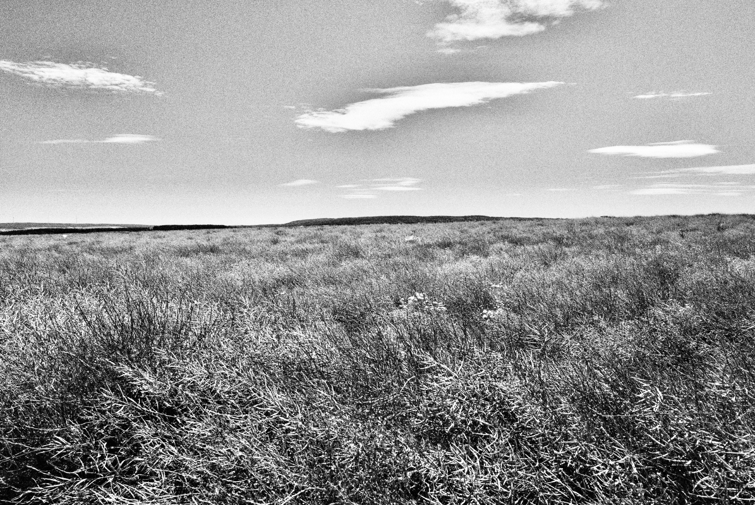 Katharina Kasper Pilgerweg Katharina Kasper Pilgerweg