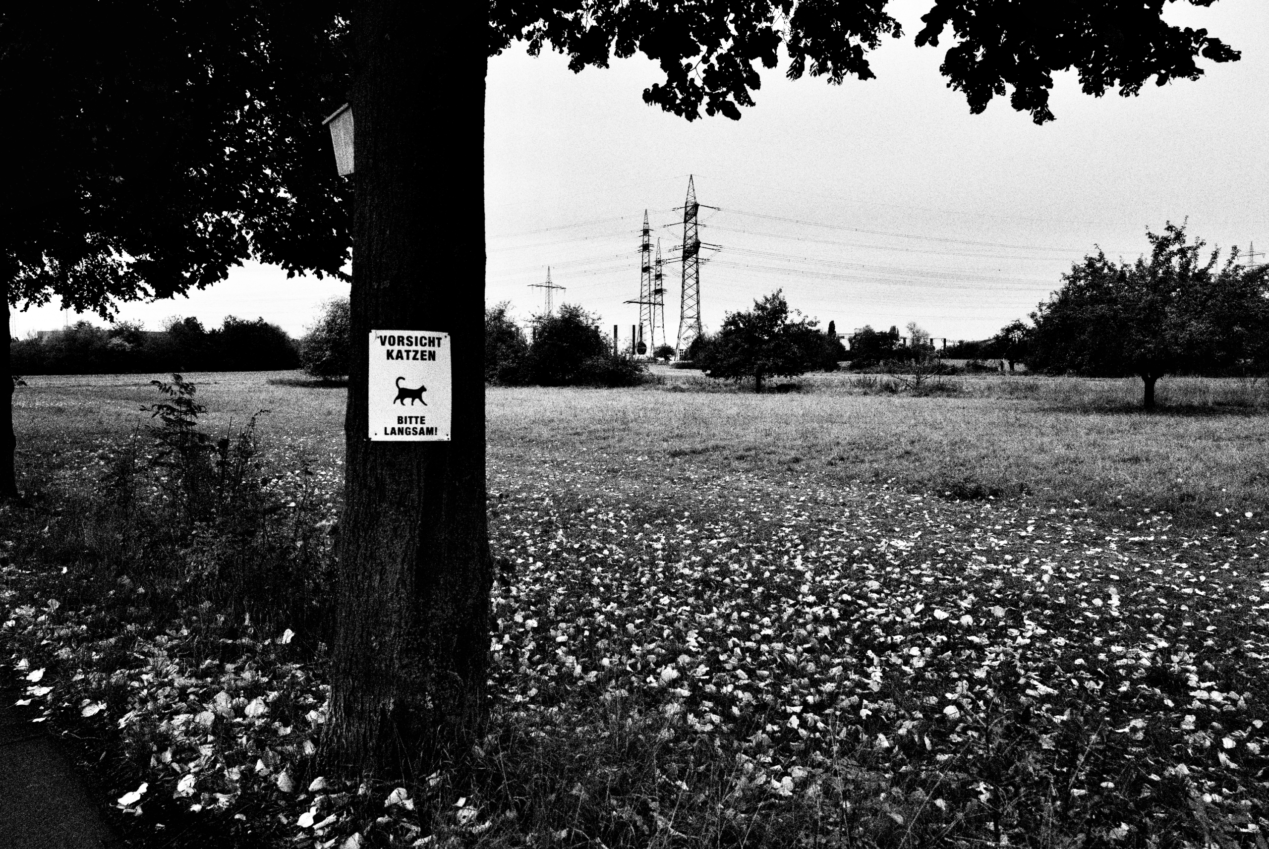 Sascha Büttner FOTOGRAFIE