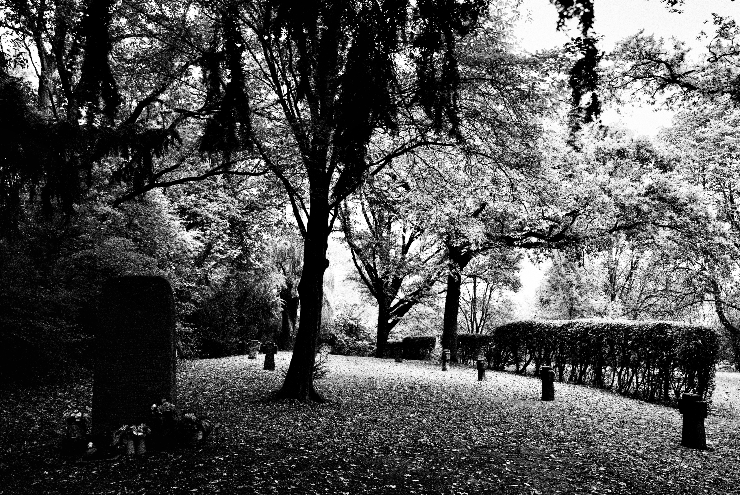 Sascha Büttner FOTOGRAFIE