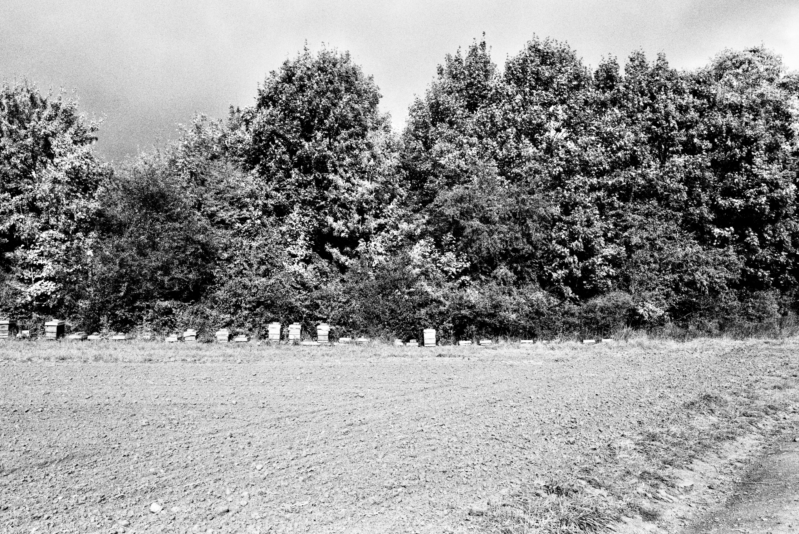 Limburg Diary Sascha Büttner FOTOGRAFIE