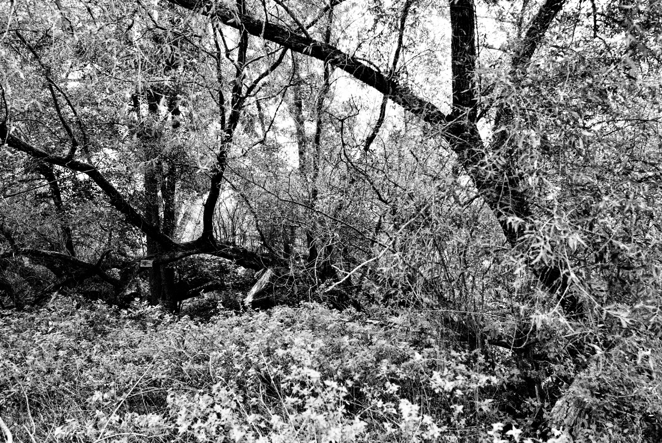 Limburg Diary Sascha Büttner FOTOGRAFIE