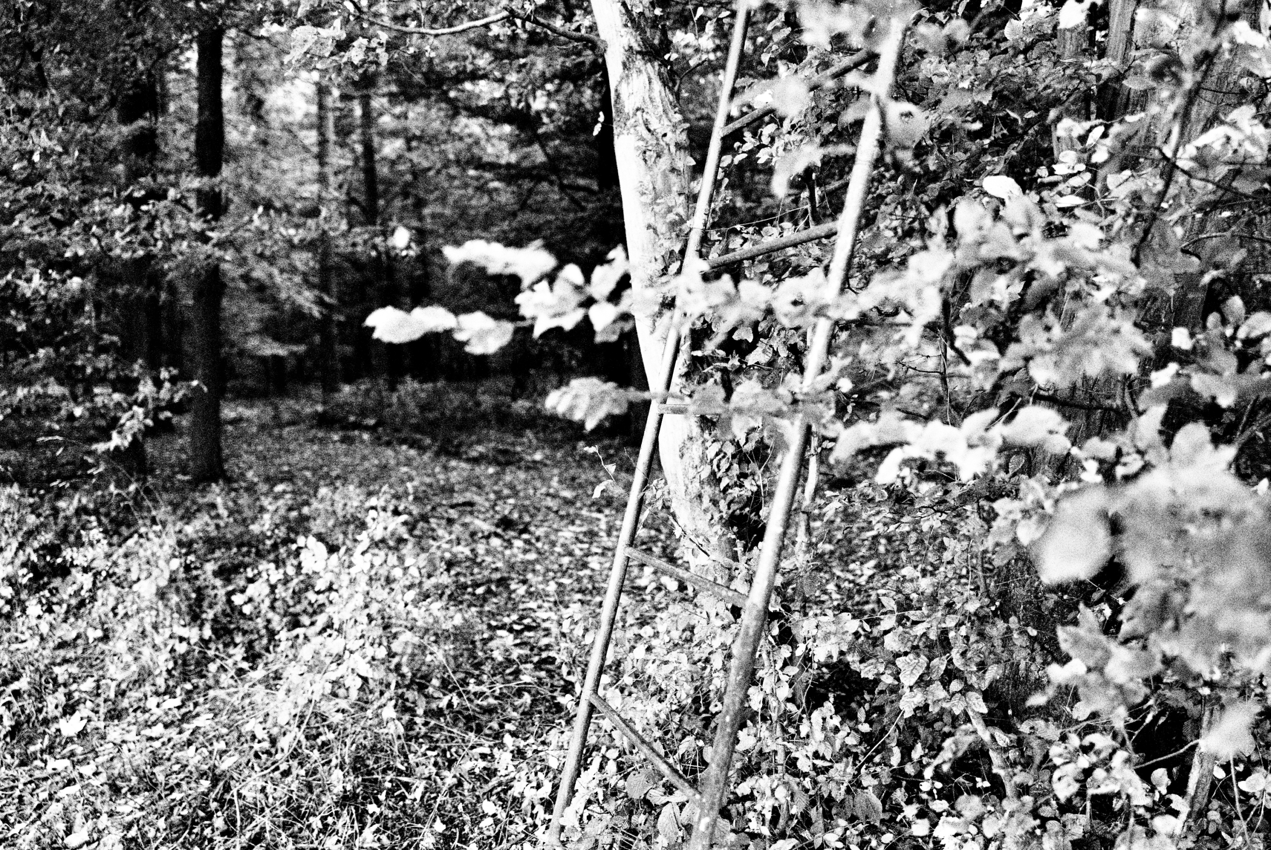 Limburg Diary Sascha Büttner FOTOGRAFIE