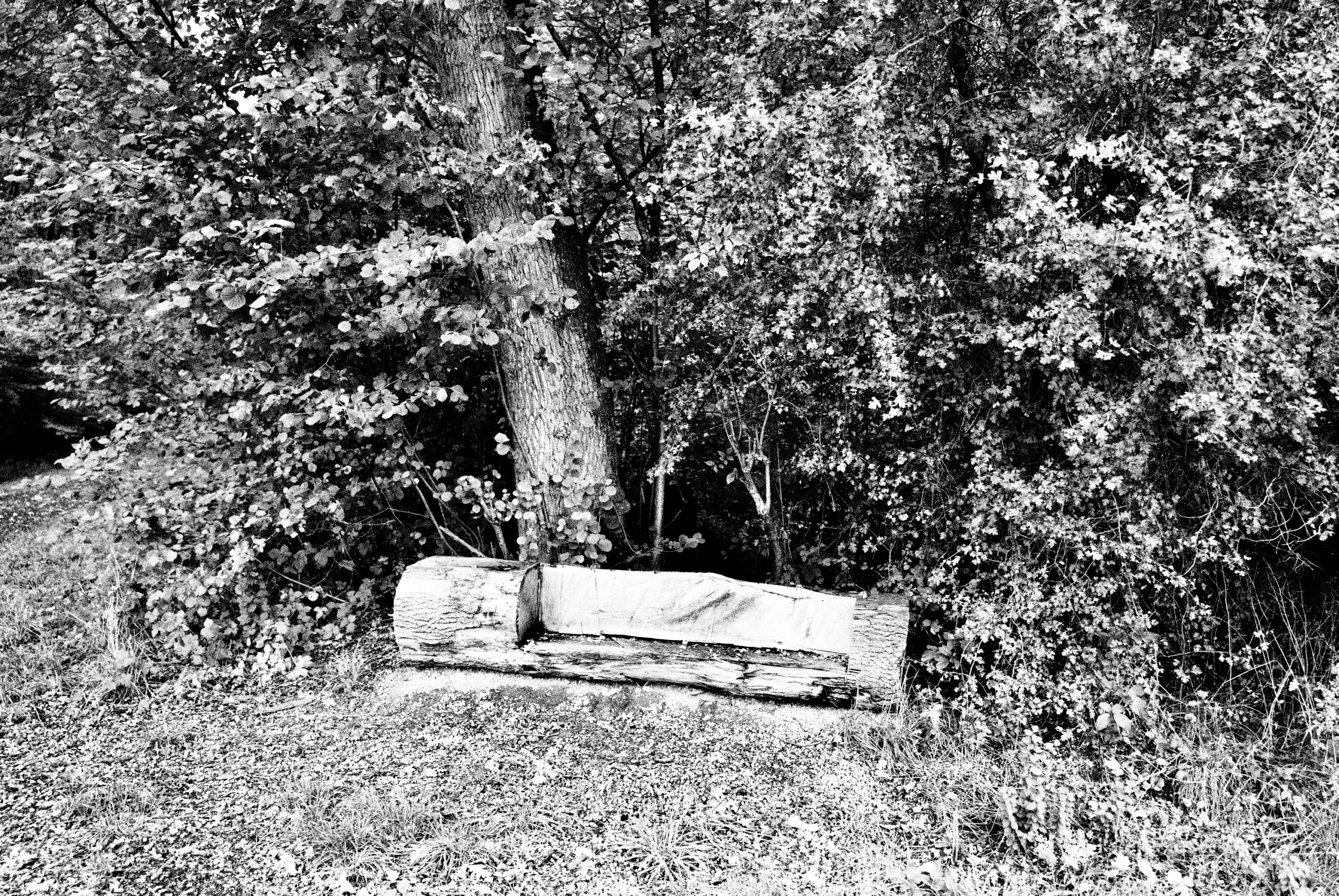 Limburg Diary Sascha Büttner FOTOGRAFIE