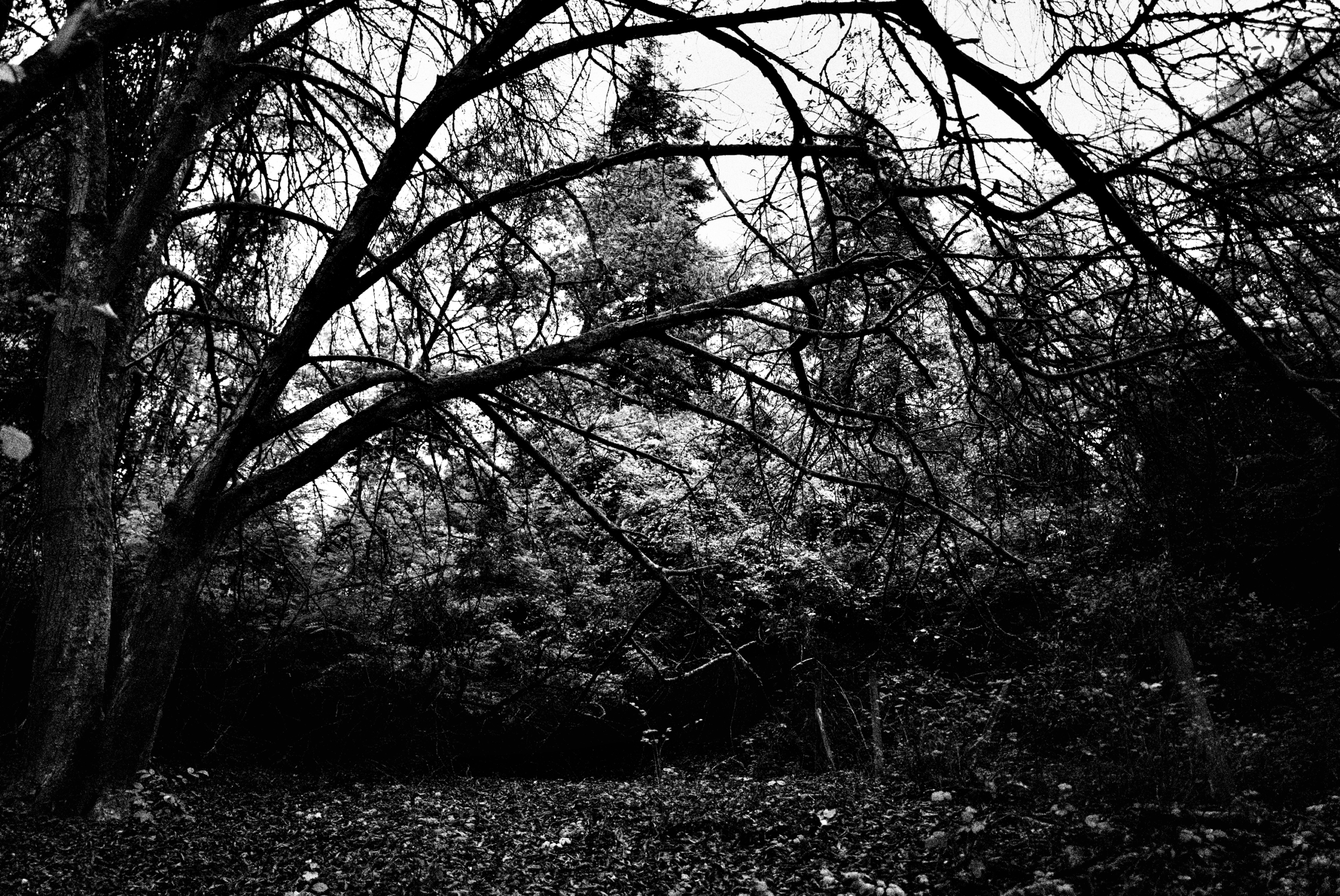 Limburg Leica Fotografie