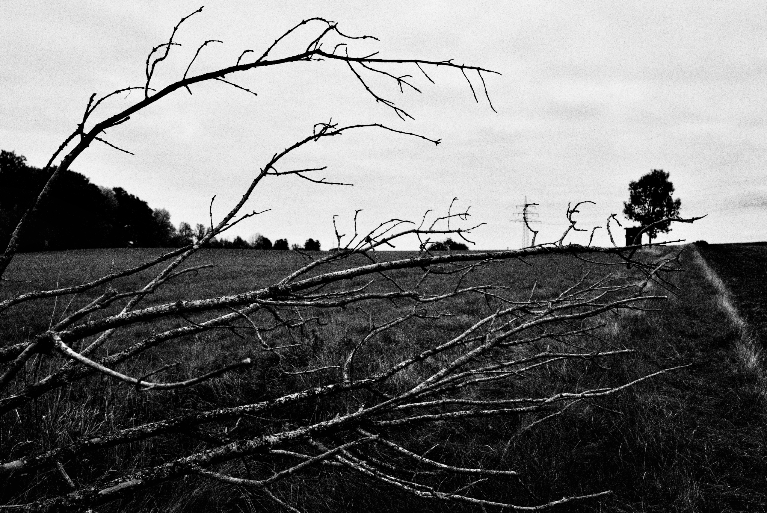 Limburg Leica Fotografie