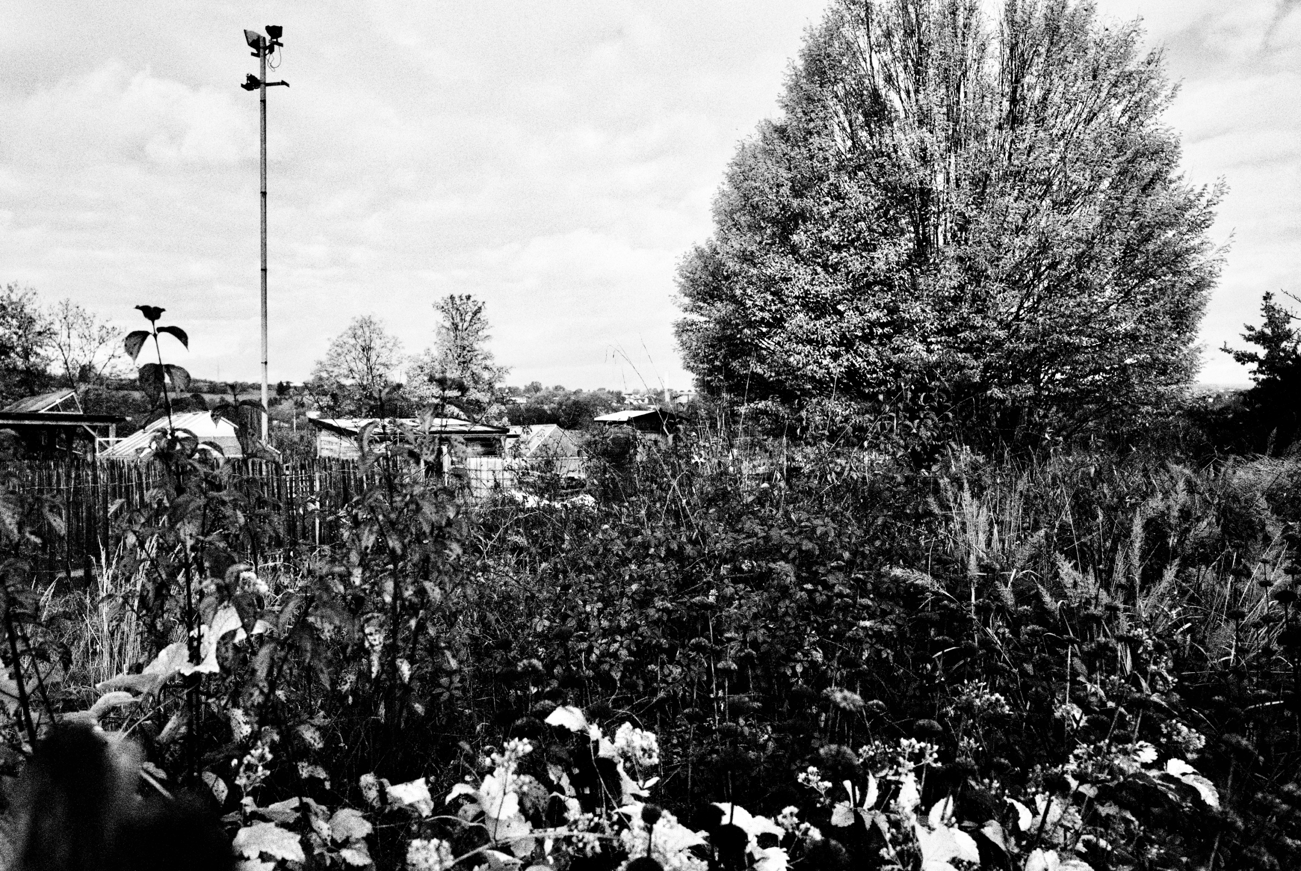 Limburg (Lahn) Leica Fotografie