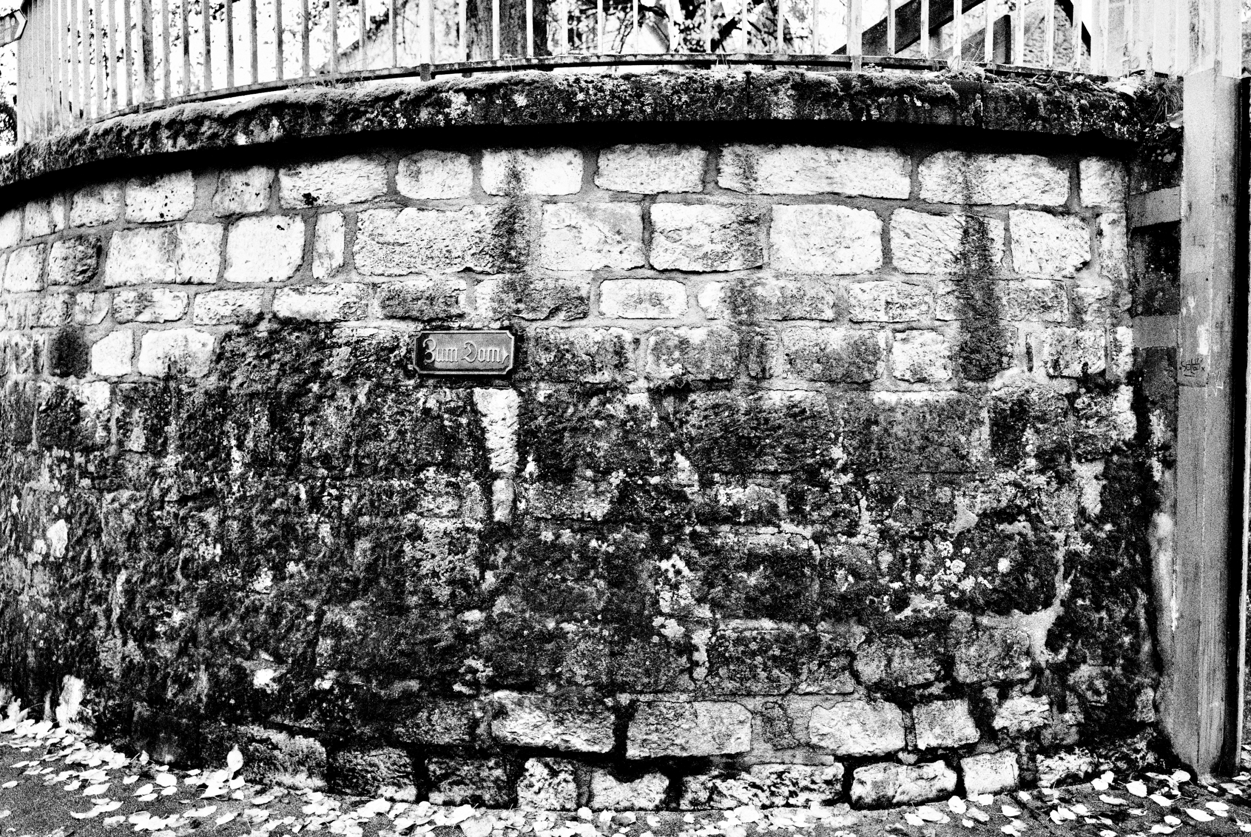 Limburg (Lahn) Leica Fotografie