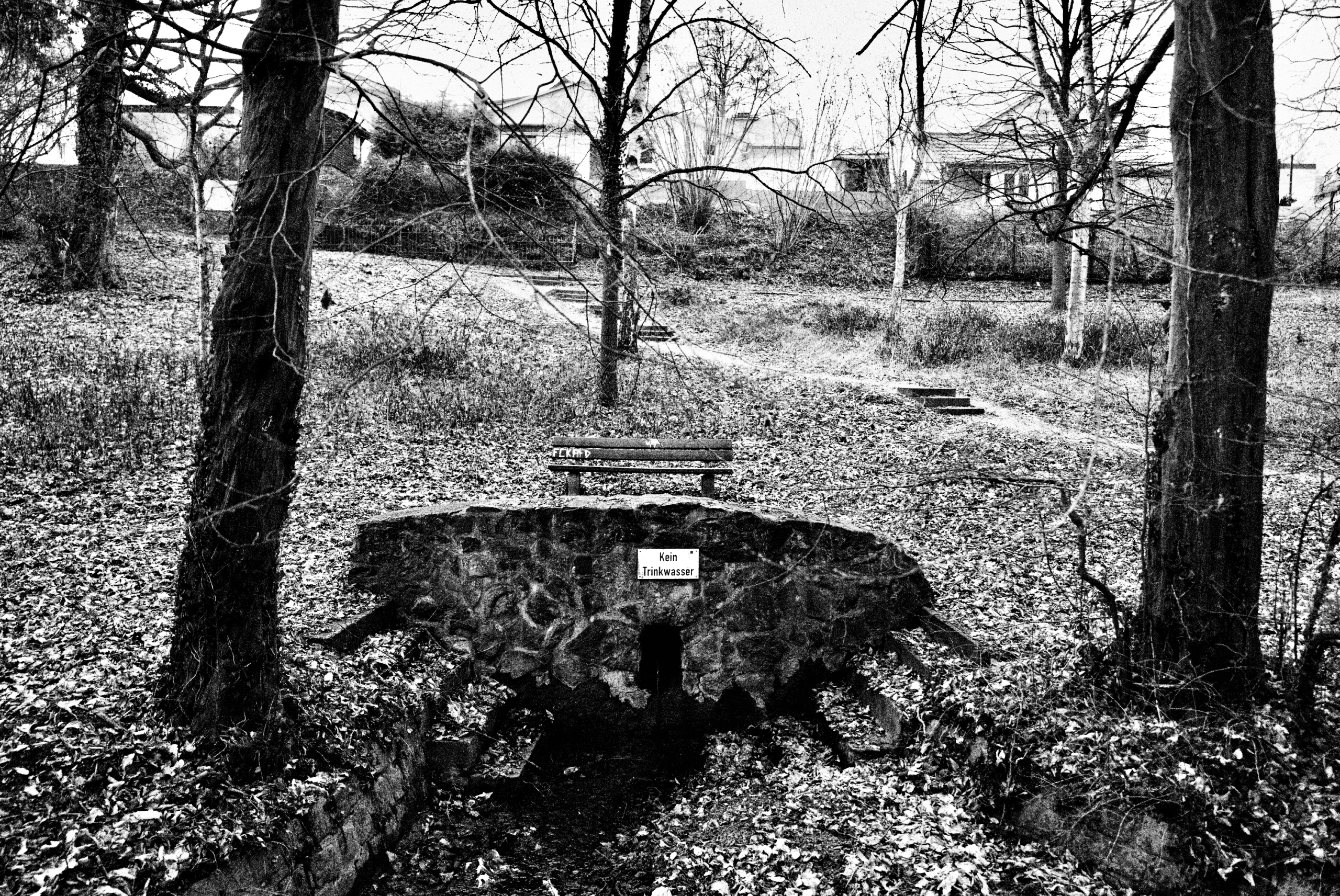 Eschhofen-Brueckenweg-Leica-Q2-Monochrom-Sascha-Buettner-09 Eschhöfer Brücken-Weg, Januar 2026. Schwarzweiß-Fotografie mit Leica Q2 Monochrom von Sascha Büttner.