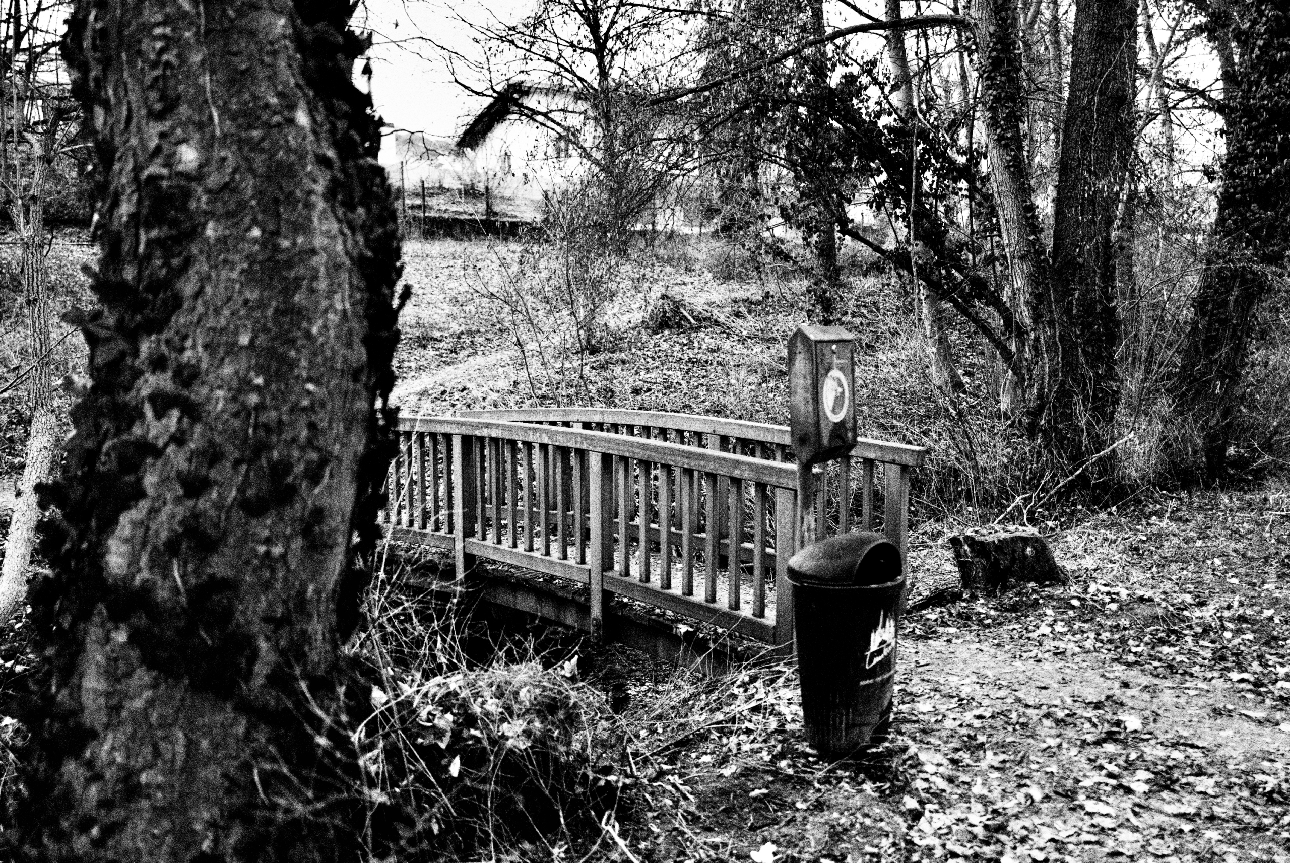 Eschhofen-Brueckenweg-Leica-Q2-Monochrom-Sascha-Buettner-08 Eschhöfer Brücken-Weg, Januar 2026. Schwarzweiß-Fotografie mit Leica Q2 Monochrom von Sascha Büttner.