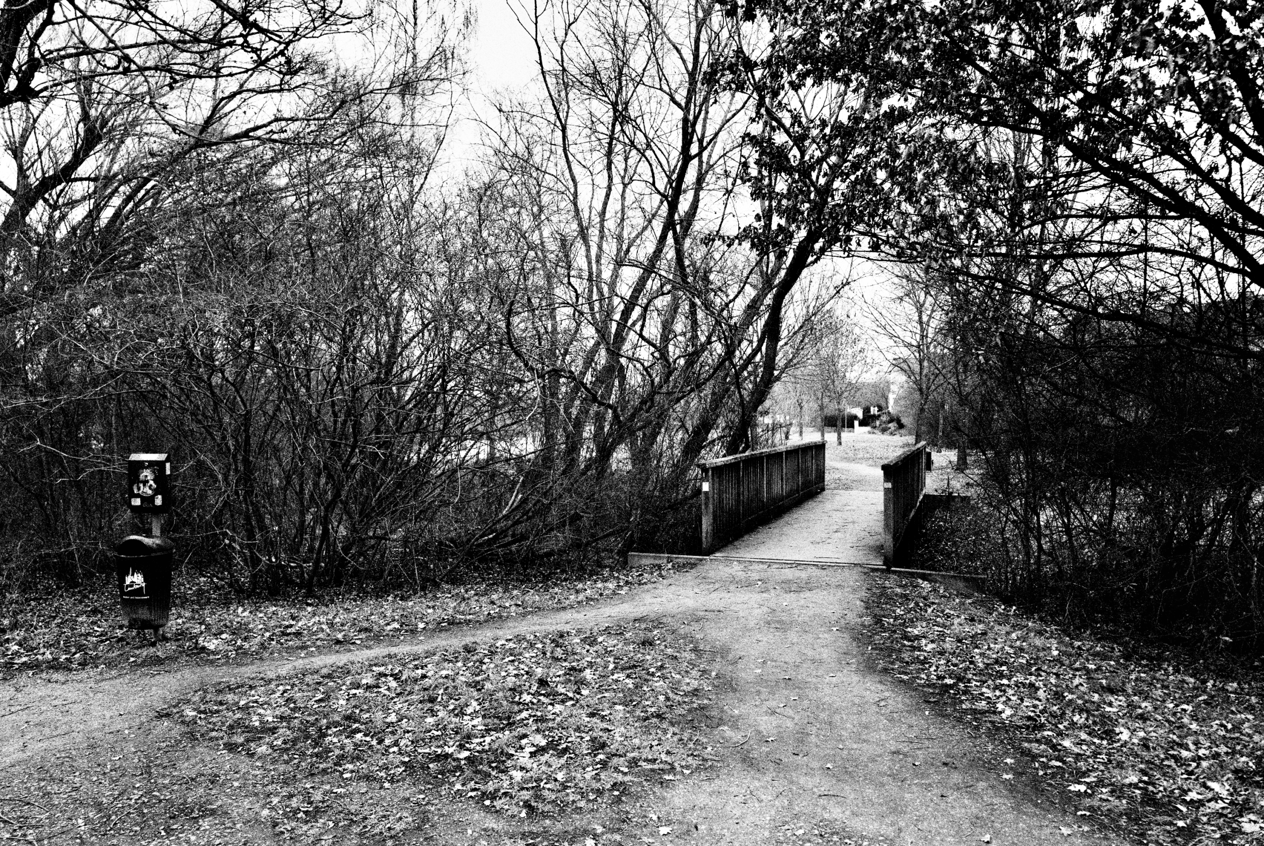 Eschhofen-Brueckenweg-Leica-Q2-Monochrom-Sascha-Buettner-01 Eschhöfer Brücken-Weg, Januar 2026. Schwarzweiß-Fotografie mit Leica Q2 Monochrom von Sascha Büttner.