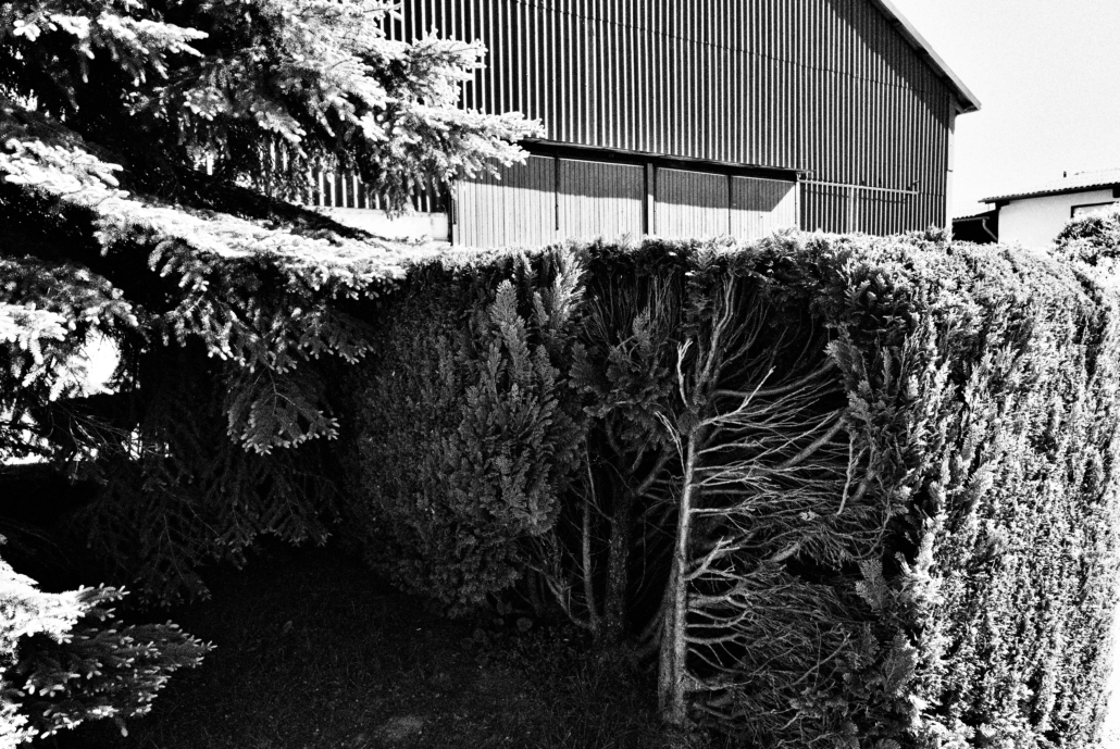 Hecke