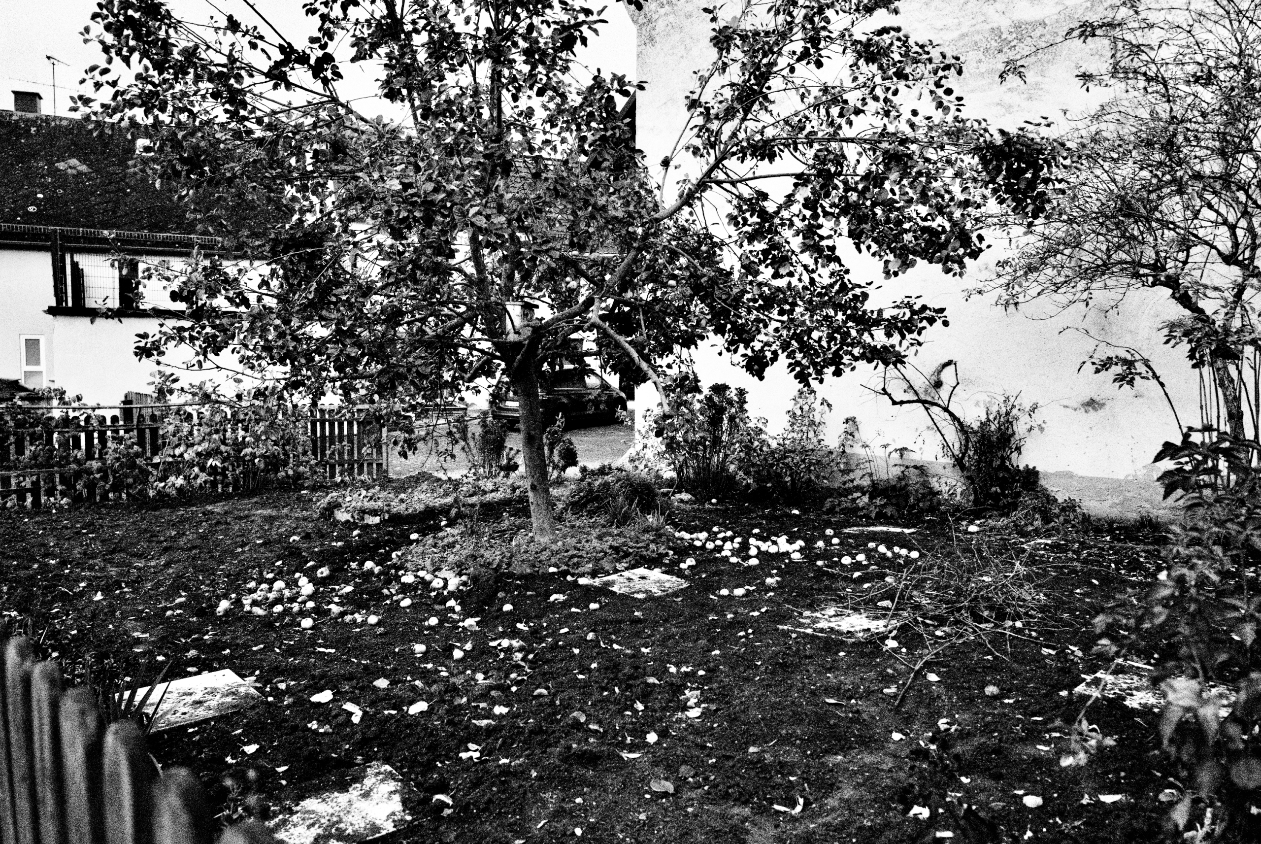 Dérive & Fotografie - Leica Fotografie Limburg Leica Fotografie