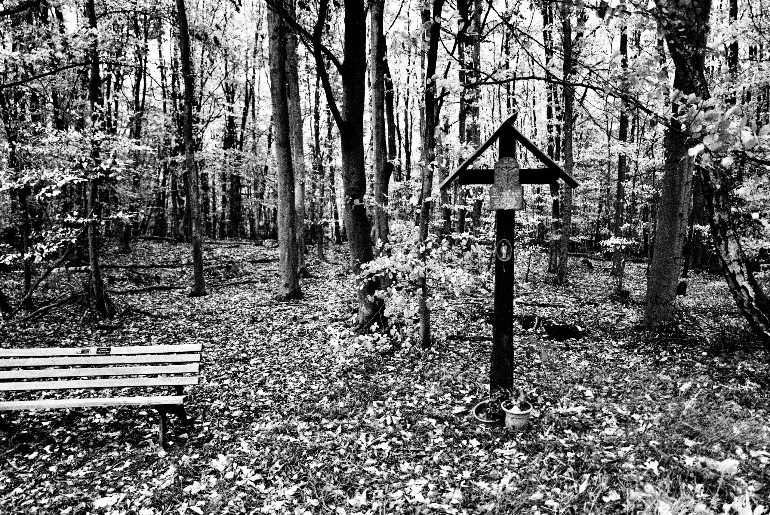 Dérive & Fotografie - Leica Fotografie Limburg Leica Fotografie