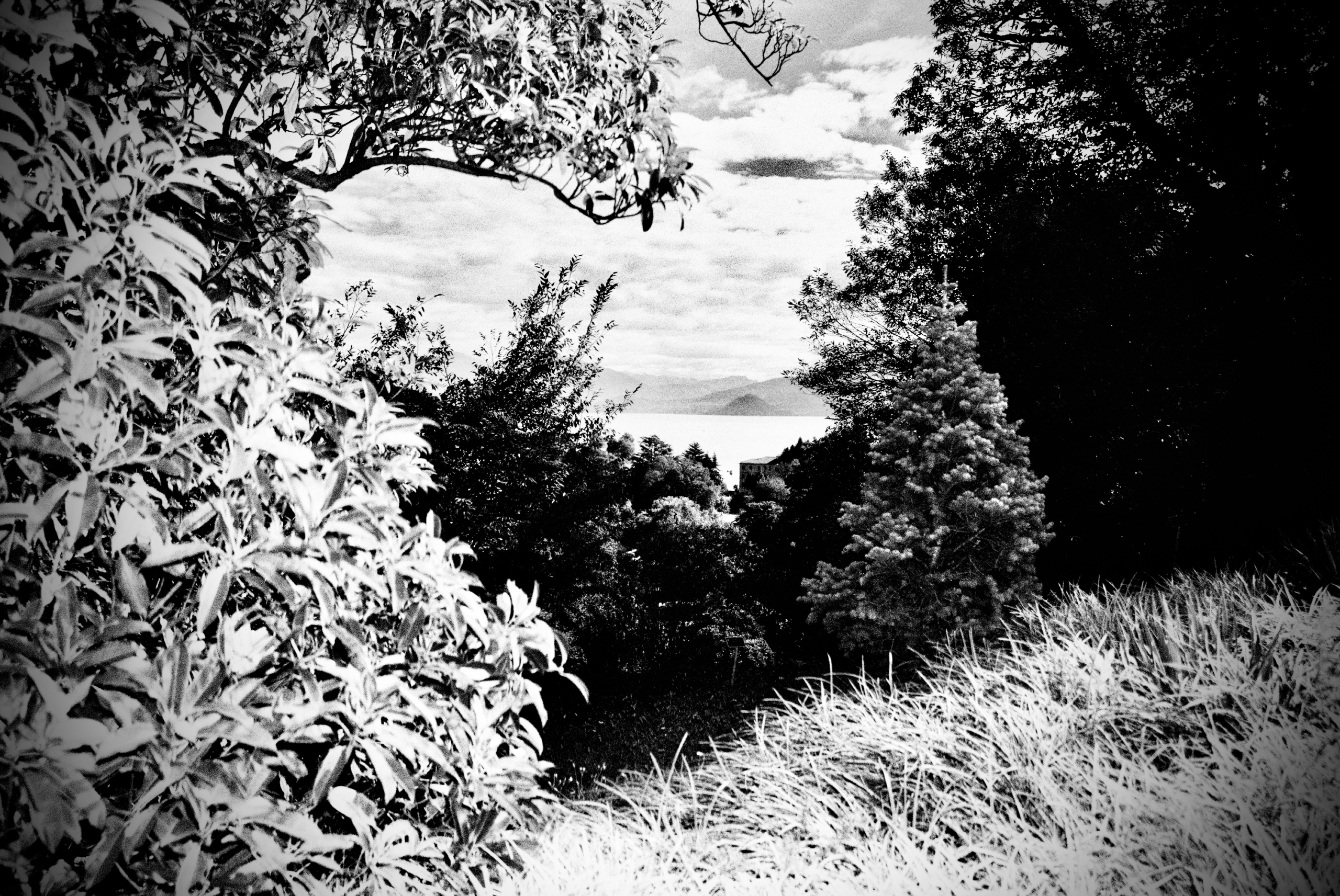 Schwarzweißfotografie, Lago Maggiore, September 2026.