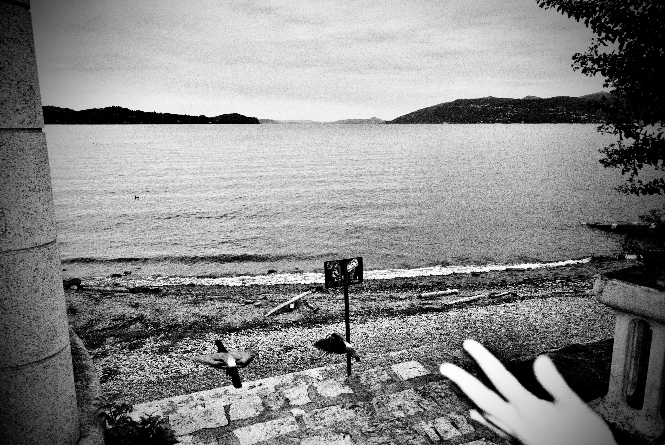 Schwarzweißfotografie, Lago Maggiore, September 2026.