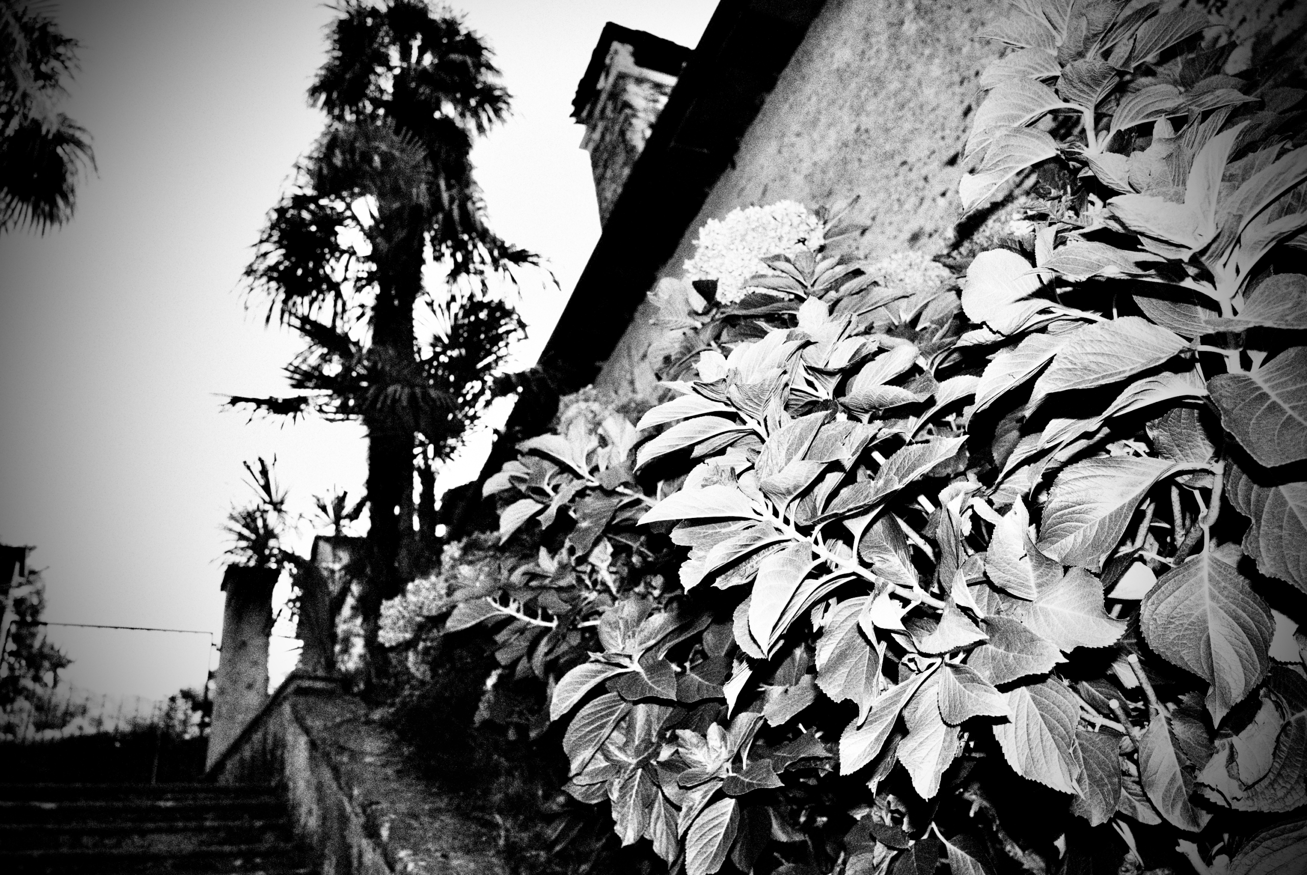 Schwarzweißfotografie, Lago Maggiore, September 2026.