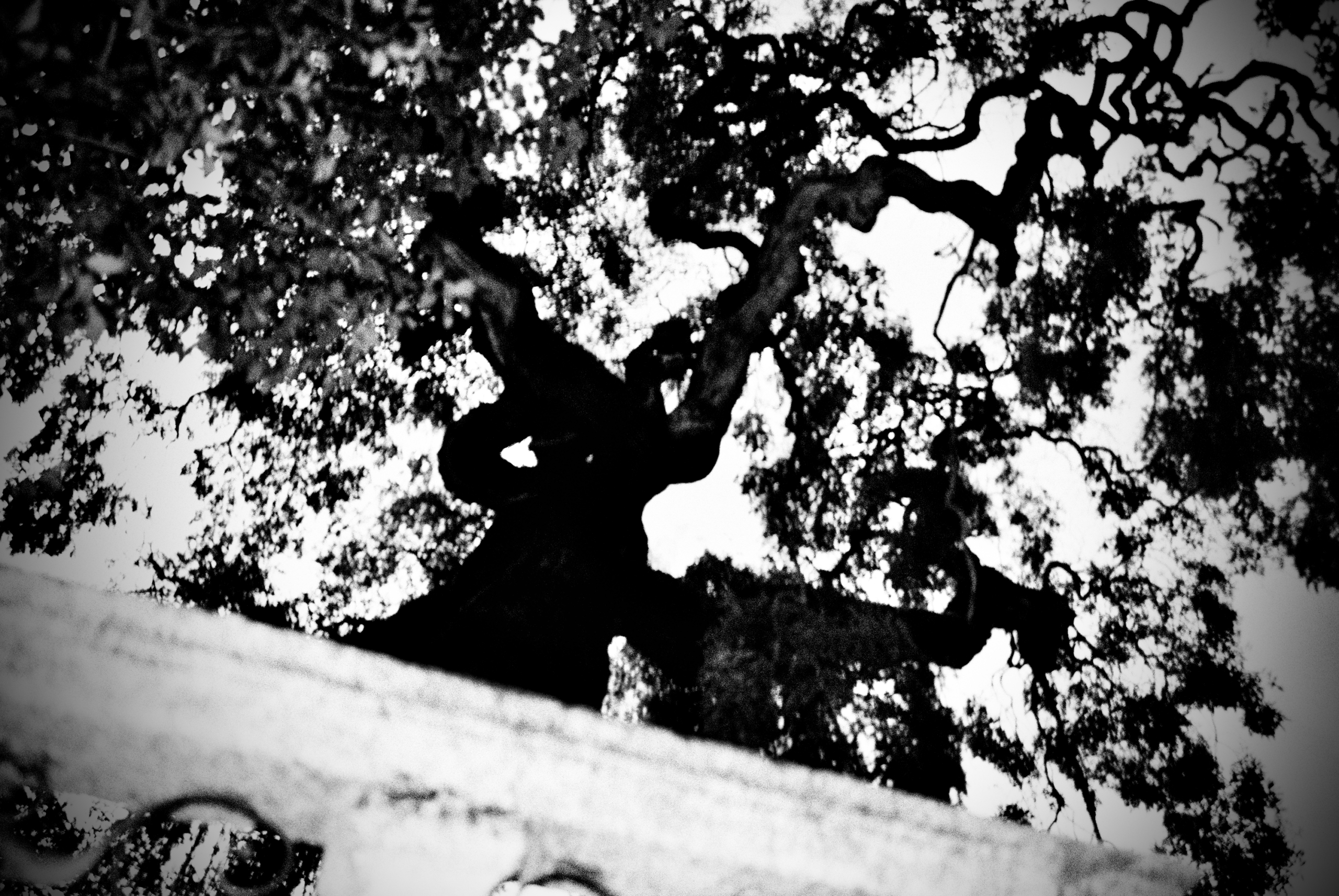 Schwarzweißfotografie, Lago Maggiore, September 2026.
